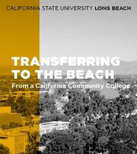 Calculator visual data 6